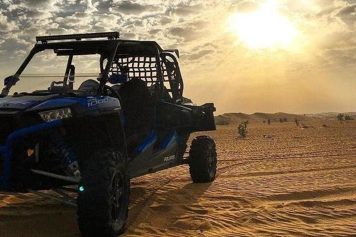 Paracas, Huacachina & Nazca: 2-Day Desert, Islands and Nazca Lines Adventure from Lima photo 4