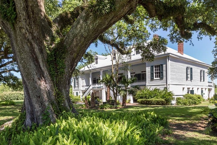 Explore St. Joseph Plantation: Guided Sugarcane Tour Near New Orleans