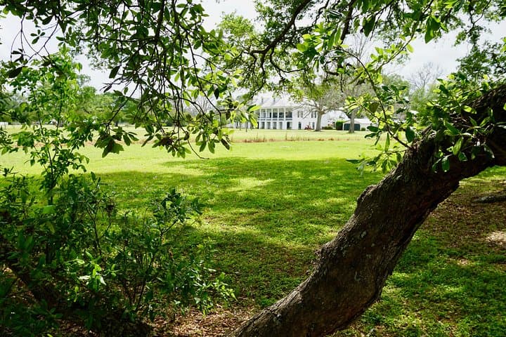 Explore St. Joseph Plantation: Guided Sugarcane Tour Near New Orleans photo 4