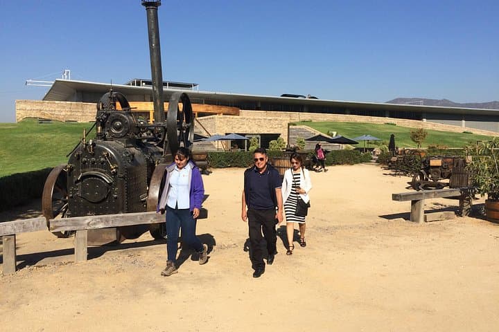 Colchagua Valley Wine Experience: Lapostolle & Montes Wineries Day Tour from Santiago photo 2