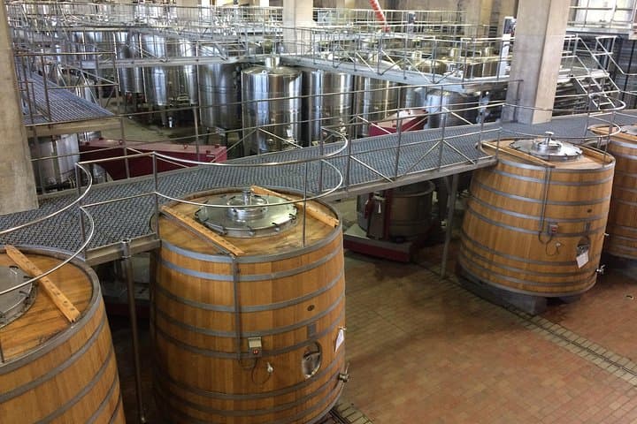 Colchagua Valley Wine Experience: Lapostolle & Montes Wineries Day Tour from Santiago photo 3