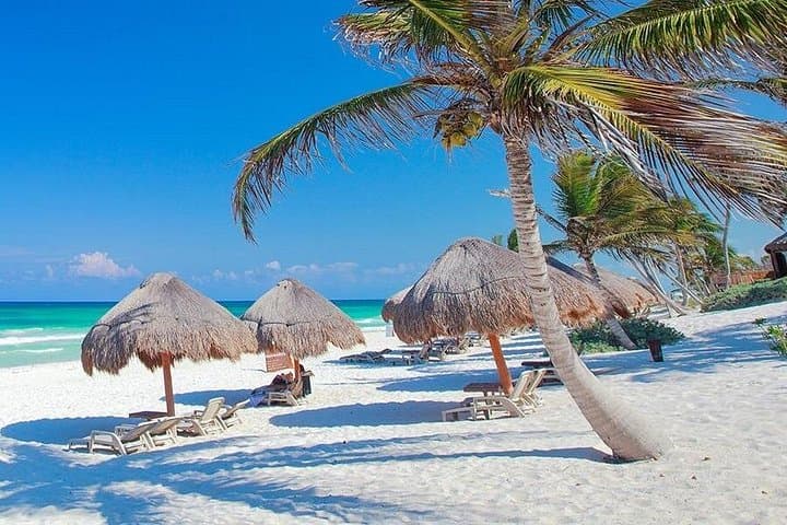 Exploring the Tulum Ruins: Half-Day Guided Tour of the Cliffside Mayan City photo 2