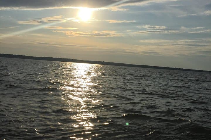 Sunset Cruise on the Chesapeake Bay: Calvert Cliffs & Wildlife Aboard a 42-ft Yacht photo 6