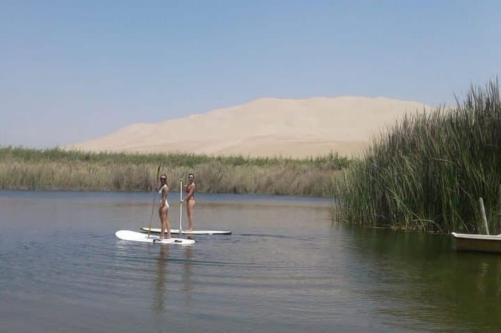 Paracas Minibuggy & Sandboarding: Oasis Costa Rica Half-Day Adventure photo 5
