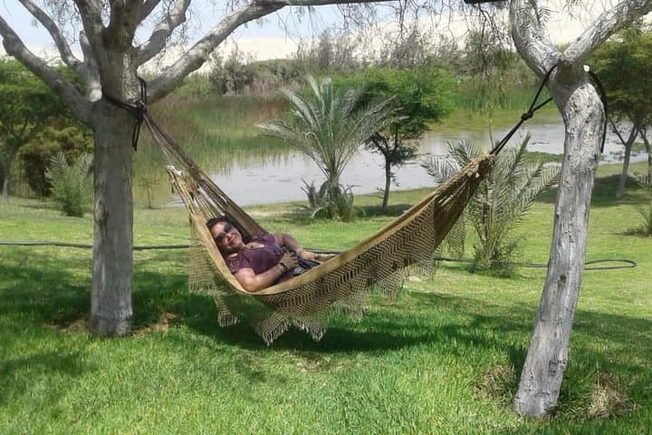 Paracas Minibuggy & Sandboarding: Oasis Costa Rica Half-Day Adventure photo 6