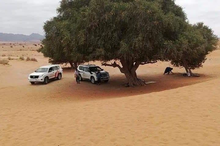 Mini Sahara Day Trip from Agadir: 4x4 Dunes, Massa Birds & Tiznit Silver