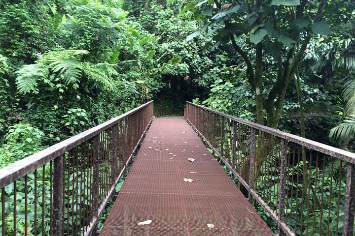 Natura Eco Park La Fortuna: Frog Gardens, Butterfly Houses & Rainforest Trails photo 3