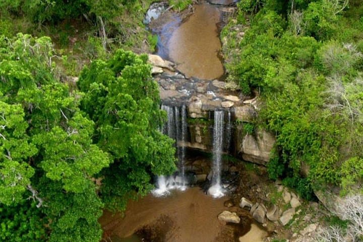 Shimba Hills Day Tour from Mombasa & Diani Beach — Elephants, Sable Antelope and Sheldrick Falls photo 2