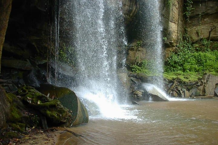 Shimba Hills Day Tour from Mombasa & Diani Beach — Elephants, Sable Antelope and Sheldrick Falls photo 3