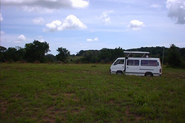 Shimba Hills Day Tour from Mombasa & Diani Beach — Elephants, Sable Antelope and Sheldrick Falls photo 4