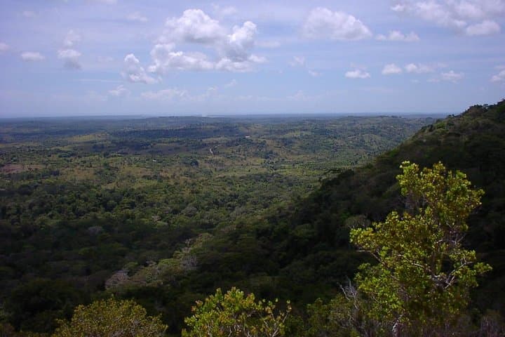 Shimba Hills Day Tour from Mombasa & Diani Beach — Elephants, Sable Antelope and Sheldrick Falls photo 6