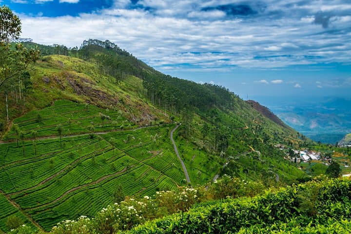 From Ella to Lipton's Seat: Tea-Highland Views & Dambatenne Factory Walk photo 5