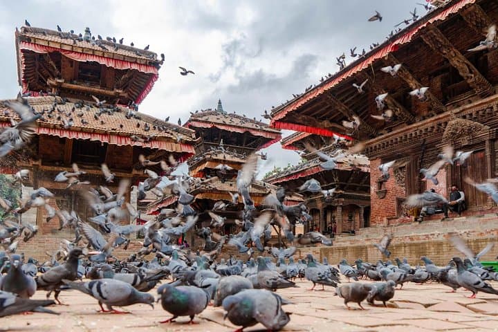 12-Day Nepal World Heritage Private Guided Tour — Kathmandu, Chitwan, Lumbini & Pokhara photo 3
