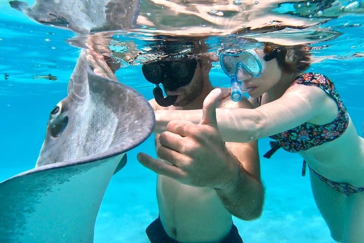 Private Moorea Catamaran Snorkeling & Sailing on Taboo — Full-Day Tour photo 5