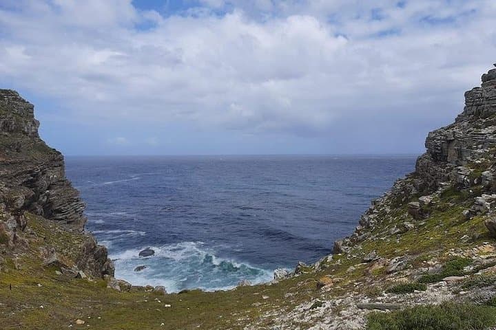 Cape Peninsula Day Tour: Cape Point, Penguins & Kirstenbosch in One Day photo 5