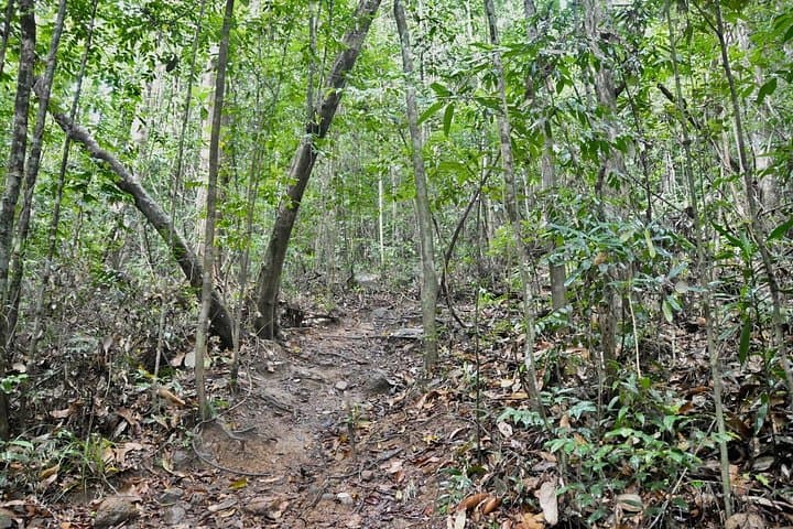 Unawatuna to Hayare Rainforest: Waterfall Hike Day Tour photo 3