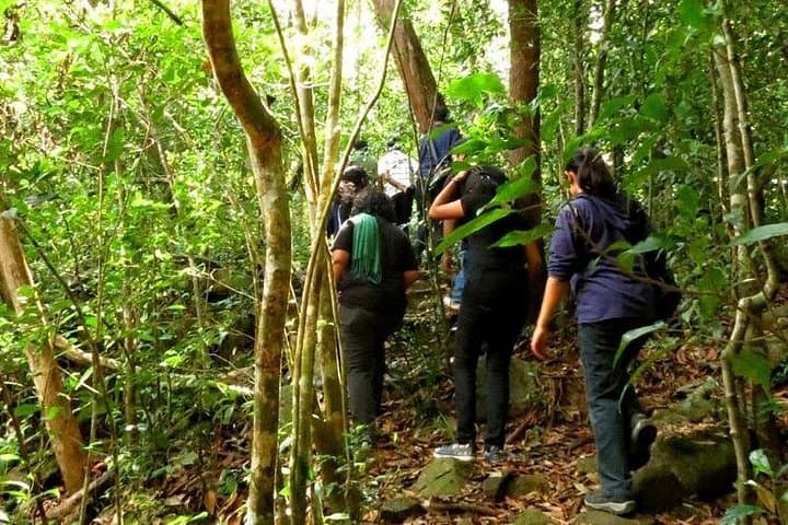 Unawatuna to Hayare Rainforest: Waterfall Hike Day Tour