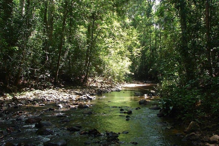 Unawatuna to Hayare Rainforest: Waterfall Hike Day Tour photo 6