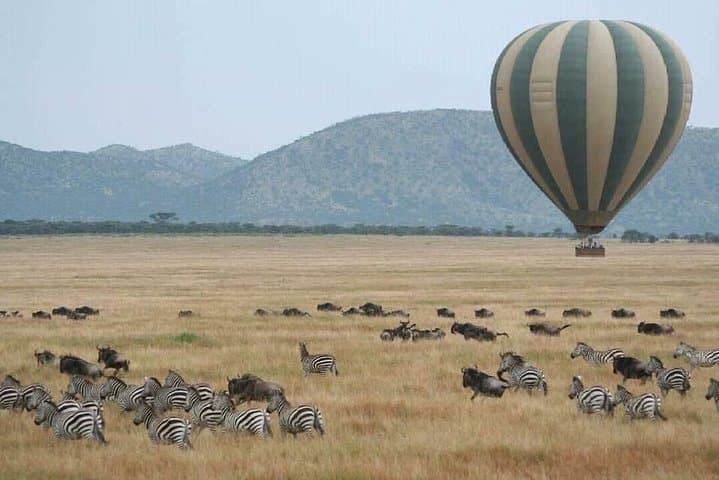 3-Day Serengeti & Ngorongoro Crater Safari — Big Five on a Budget