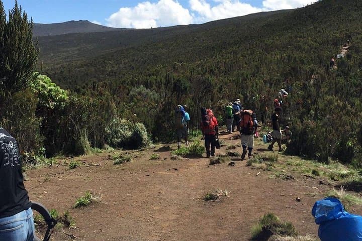 Kilimanjaro Day Trip: Hike the Marangu Route to Mandara Hut photo 5