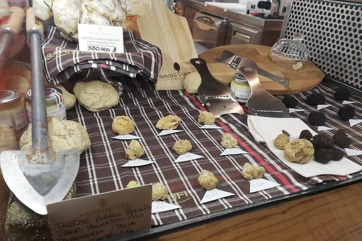 Private Truffle Hunt & Chianti Wine Tasting from Florence photo 5