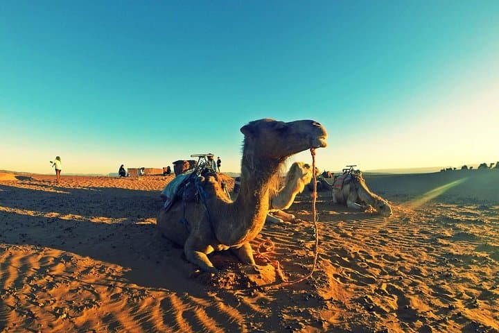 2-Day Zagora Desert Tour from Marrakech — Camel Trek, Ait Ben Haddou & Todra photo 2