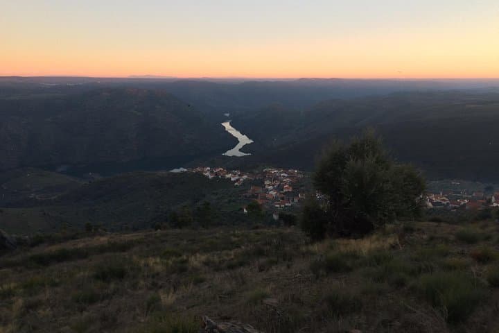 Douro Xperience: Day Trip from Porto to the Douro Valley Wine Country photo 3