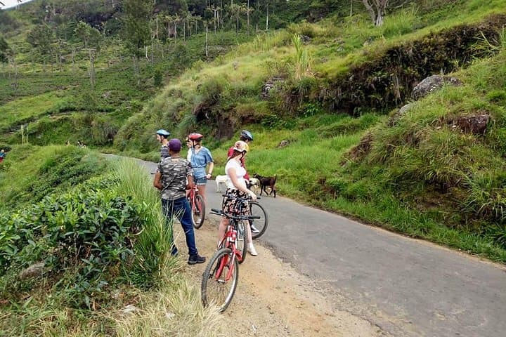 Downhill Cycling to Ellawala Waterfall from Ella photo 4