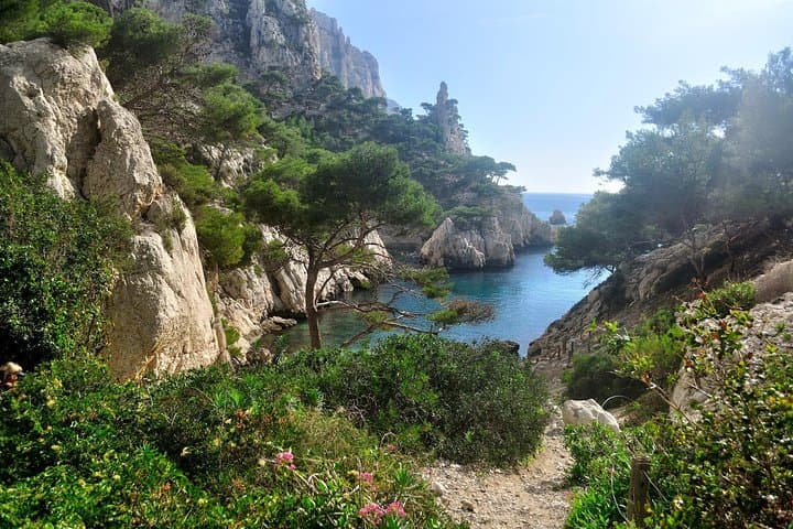 Calanques Essentials: Hike Sormiou, Morgiou and Sugiton from Luminy photo 4