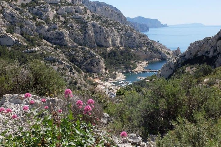 Calanques Essentials: Hike Sormiou, Morgiou and Sugiton from Luminy photo 6