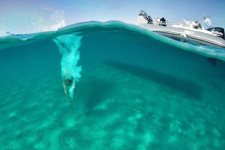 Private Speedboat Cruise to Delos, Rhenia & Mykonos: Swim, Snorkel & Ancient Ruins photo 6