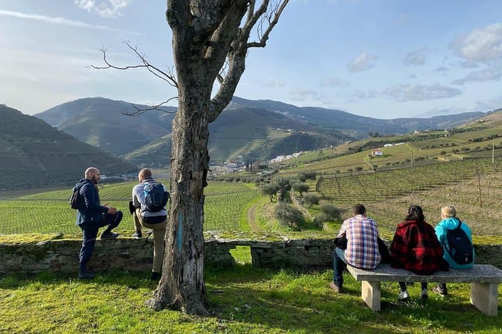 Douro Valley Vineyard Hike to Pinhão — 9 km Through UNESCO Terraces