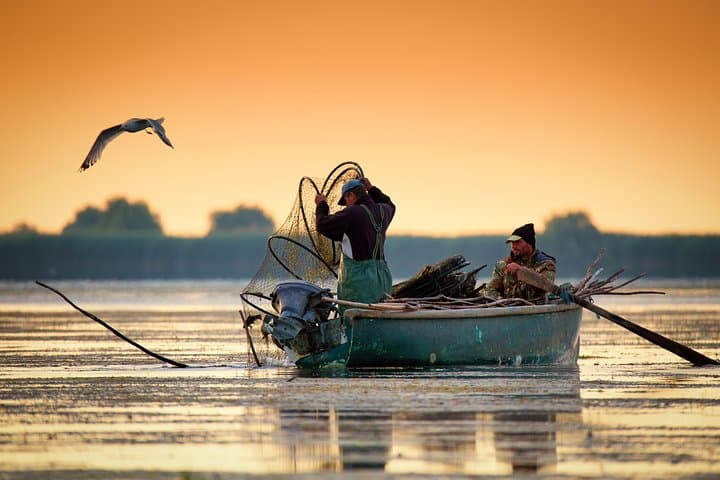 Four-Day Danube Delta Safari from Bucharest — Birds, Letea Forest & Sulina photo 6