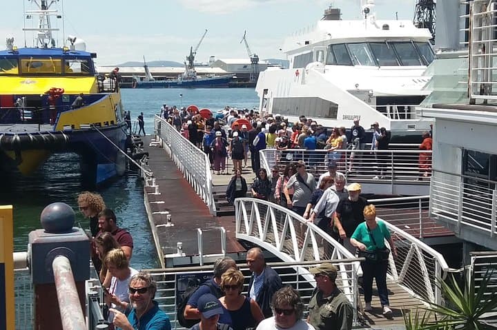 Robben Island to Table Mountain: A Full-Day Cape Town History and Summit Experience