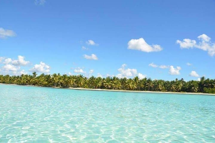 Private Saona Island Day Trip from Punta Cana — Speedboat Transfer & Lobster BBQ photo 3