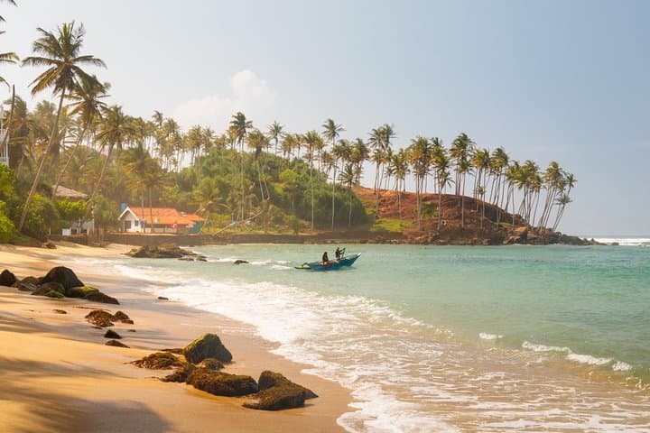 Beach and Green Hills Week Tour: Coastal Surf, Tea Trails & Ancient Sigiriya photo 4