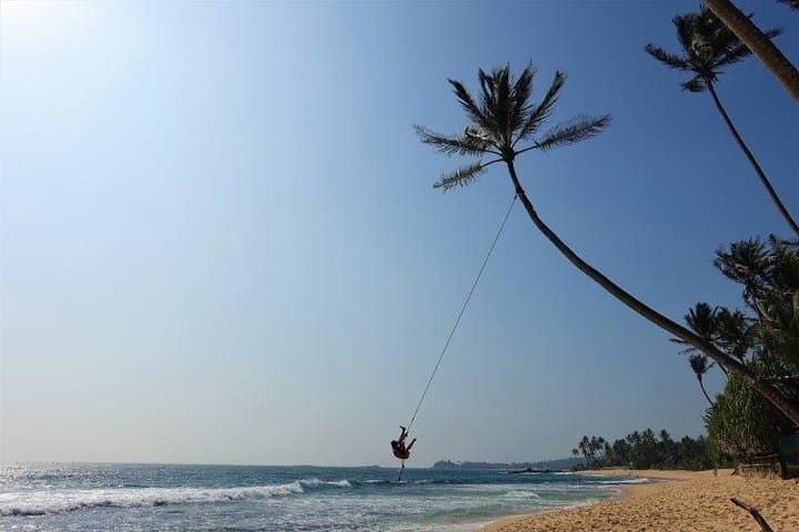 Beach and Green Hills Week Tour: Coastal Surf, Tea Trails & Ancient Sigiriya photo 5