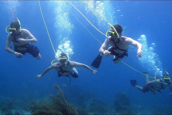Explore Caribbean Waters with Platinum Power Shore Adventure photo 6
