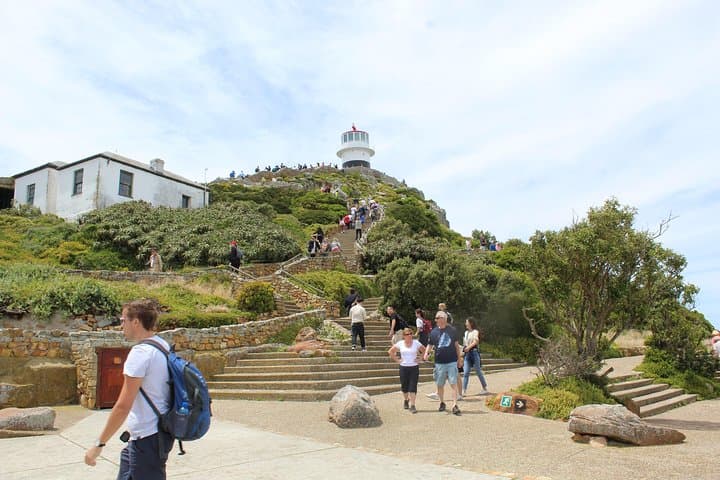 Two-Day Cape Peninsula & Stellenbosch: Table Mountain, Cape Point and Wine Country photo 5