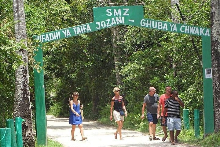 Jozani Forest Tour: See Zanzibar Red Colobus & Walk the Mangroves