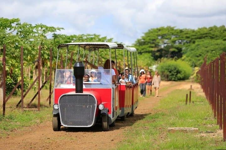 North Coast Mauritius Day Tour: Pamplemousses, Rum, Beaches & Cap Malheureux photo 5