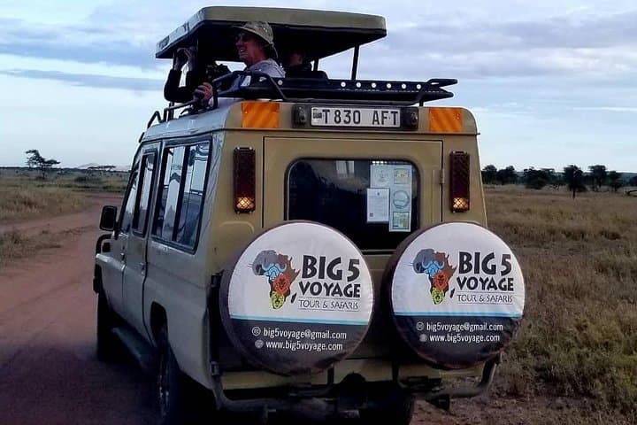 Private Day Safari to Ngorongoro Crater from Arusha photo 2