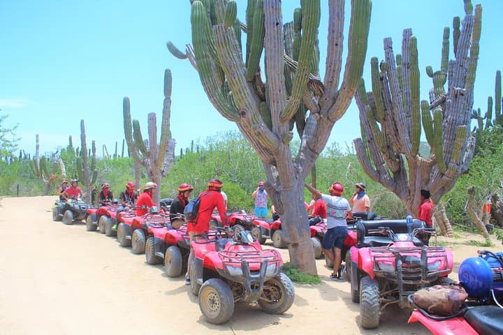 ATV Desert and Beach Ride to Migriño Beach from Cabo San Lucas