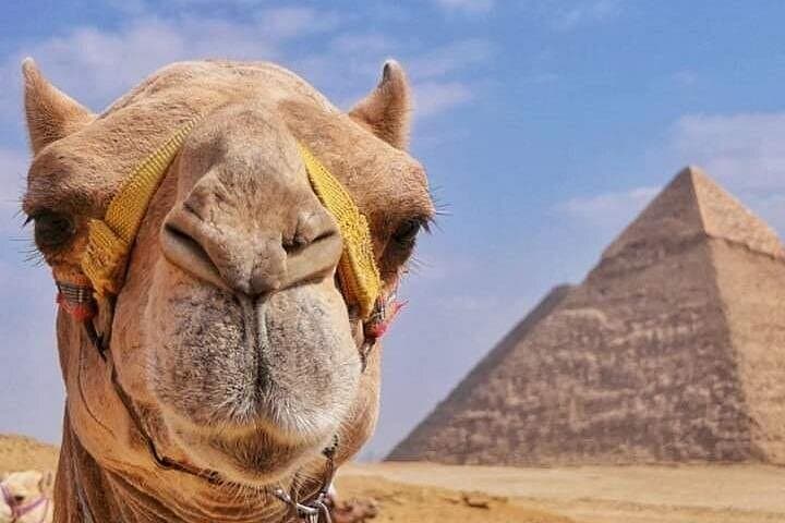 Private Quad Bike Safari Around the Pyramids of Giza photo 3