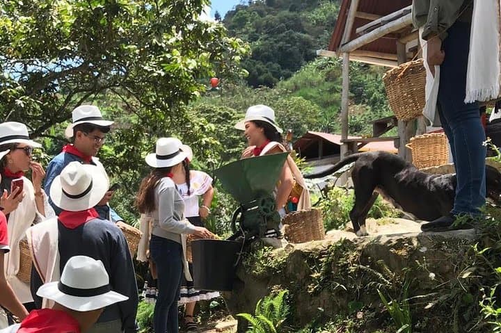 Medellín Coffee Tour: All-Inclusive Farm Visit & Tasting photo 4