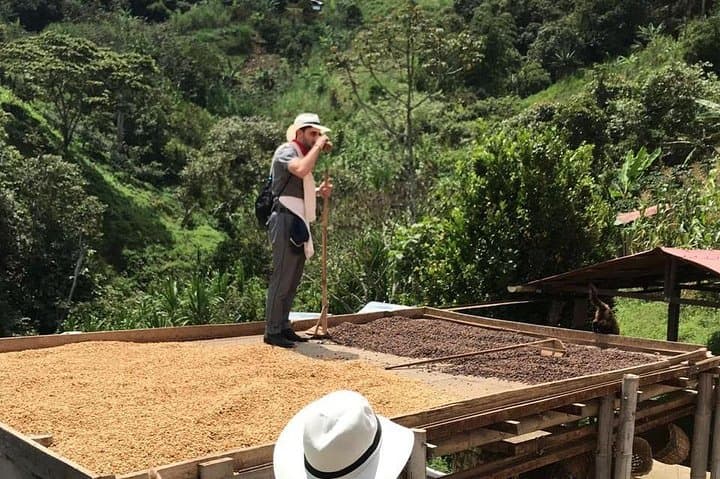 Medellín Coffee Tour: All-Inclusive Farm Visit & Tasting photo 6
