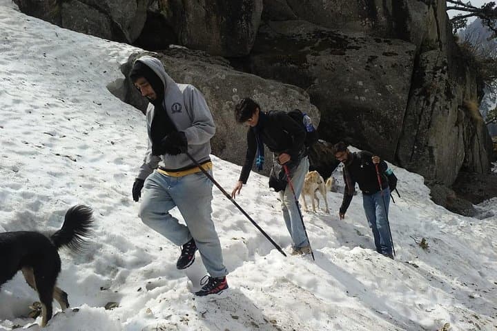 Kareri Lake Trek: 3-Day Alpine Hike From Dharamsala photo 4