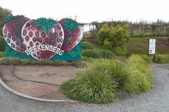 Adelaide Hills & Hahndorf Day Tour: Mount Lofty, Wineries & German Village photo 6