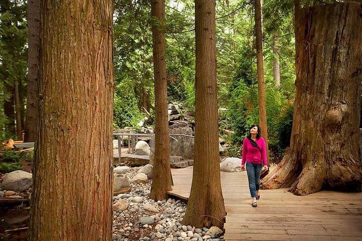 Vancouver Sightseeing & Capilano Suspension Bridge Small-Group Tour photo 5
