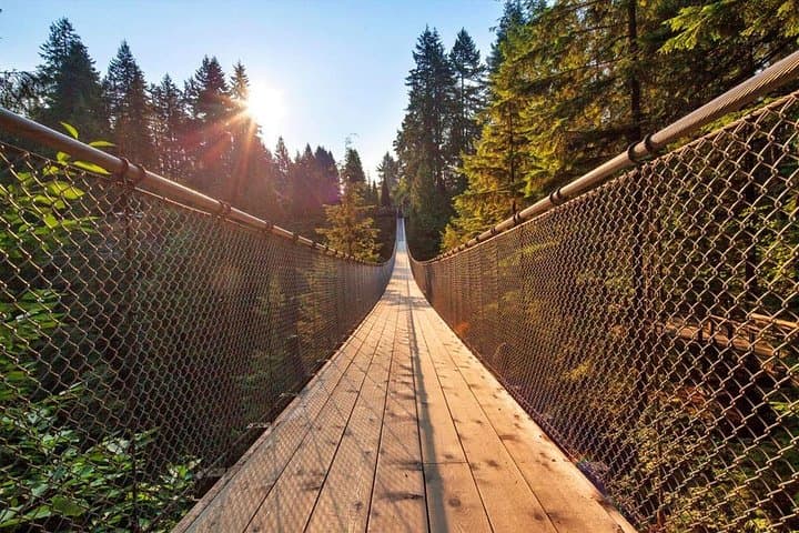 Vancouver Sightseeing & Capilano Suspension Bridge Small-Group Tour photo 2